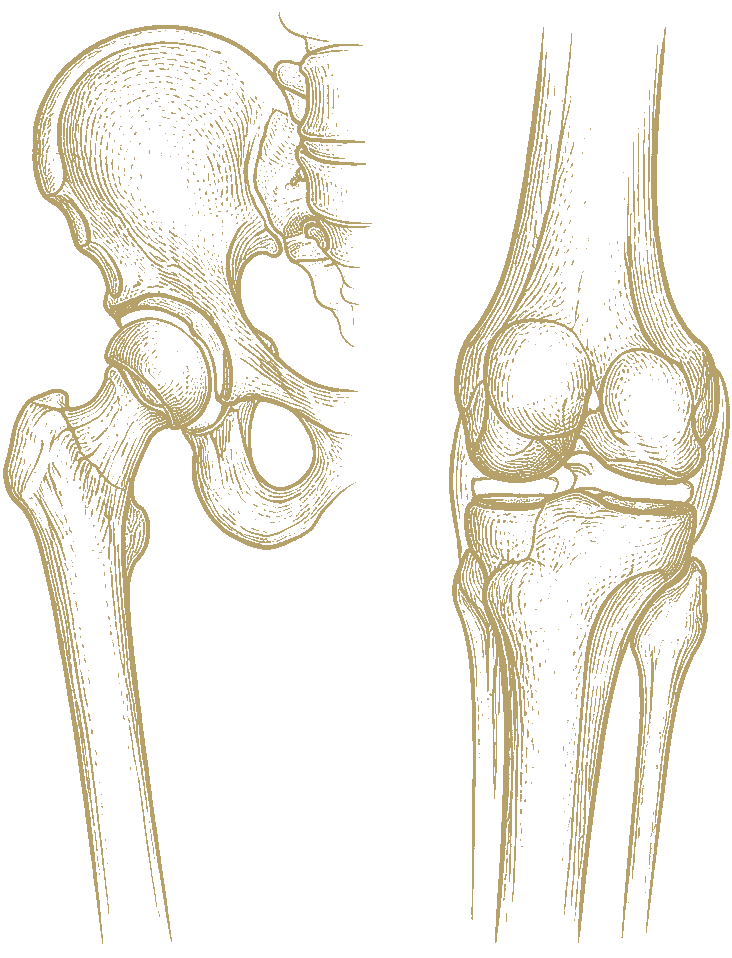 arthroplasty-hip-knee